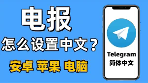 telegram 无法显示该群组